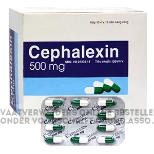 cephalexin